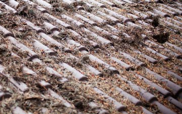 Belvoir roof cleaning companies