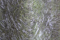 Belvoir fibreglass roof work